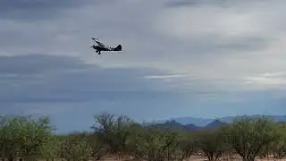 Piper Cub L4 Grashopper Maiden Video