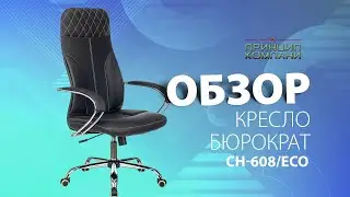 Обзор кресла Бюрократ CH 608 SL ECO