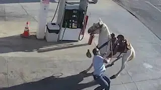 Пьяный мужик решил проехаться на лошади, но долго в седле не продержался