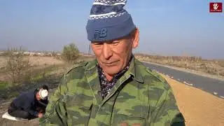 Баткендин күрүчү 250сомго чейин бааланууда