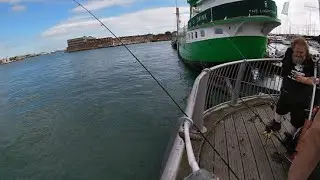Millennium Pier underwater with a surprise appearance