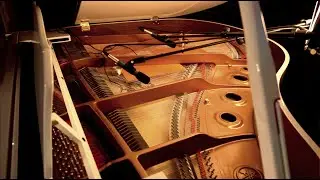 EIGENGRAU for Disklavier