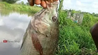 Small reservoir fishing | Big fish | fishing catching videos #ytvideo #musik barat #fishingking