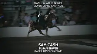 SAY CASH   2024 TENNESSEE WALKING HORSE NATIONAL CELEBRATION