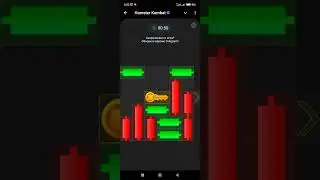 Мини игра Hamster kombat на 28-29.08.24 #hamsterkombat