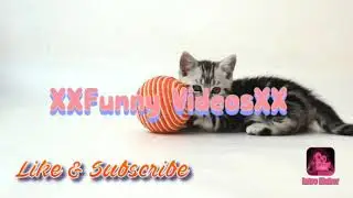 New intro