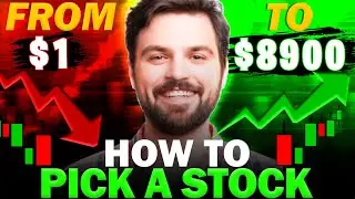 How to Pick a STOCK: The Ultimate Beginner's Guide