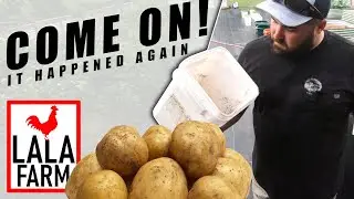 WE NEED TO FIX THIS NEXT YEAR! • Spring 2022 Potato Harvest