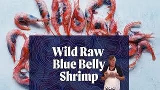 Wild Raw Blue Belly Shrimp