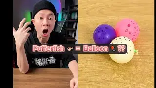Pufferfish 🐡 =  Balloon 🎈 ?? #dthacks92 #hack #lifehacks #tips #experiment #ideas