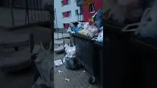 Германия. Наступил тот день когда улицы завалены мусором (по графику) 