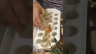 Контейнер для проращивания лука на зелень