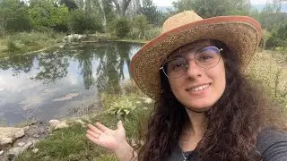 dağ kekiği ve adaçayı toplamaya gittik 🌿