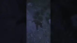 Cliff Dive!!! - Red Dead Redemption 2 - 