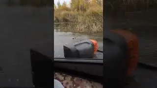 Шерп