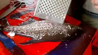 Как почистить леща         Сomo limpiar besugo