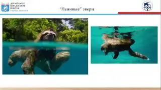 Проект ЭКОзабота от 31 марта 2021 г. "Ленивые" звери