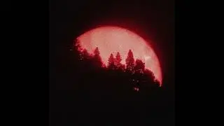 [FREE] Dark Sample Pack 