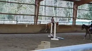 Horse Back Lesson on Treasure (I did Canter but it wasn't recorded)