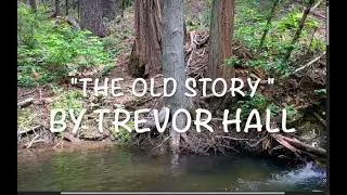 Trevor Hall - The Old Story - Lyric Video