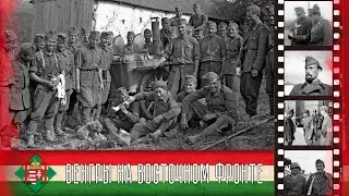 Венгерская армия на Восточном фронте (Июнь 1941 - Август 1943) / Hungarian army on the Eastern front