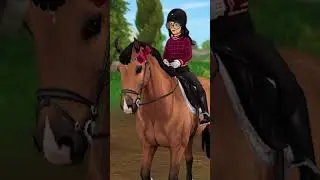 A Memoir To The Old | Star Stable