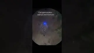 скоро по всем регионам страны #стрим #2024shorts #memes #twitch #neboshannelle #делайт #stream #win