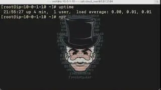 uptime command - Linux 