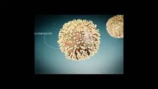 3D Medical Animation | Prolific Studio