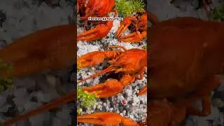 Свежие деликатесы 🦞🦀🦐 #раки #ракиоки #живыераки #food #крабы #seafood #moscow #вареныераки #еда