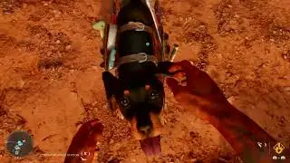 Far Cry 6 - Petting Chorizo