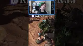 Brat Vs Car #twitch #wildlands #fail
