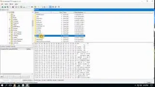 Extract DATA from a dump using FTK Imager