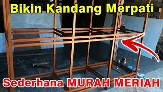 CARA MEMBUAT KANDANG MERPATI YANG MUDAH