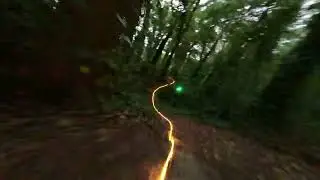 Chasing