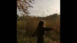 [FREE] acoustic guitar, indie folk, no drums Type Beat 