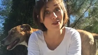 Lindsey Doe (Sexplanations) | The Road to Nerdfighteria