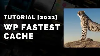 Tutorial WP Fastest Cache [Atualizado 2022]