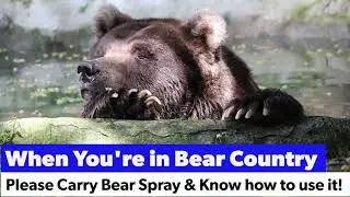 Breath of the Bear