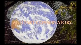 MUTTART CONSERVATORY | മട്ടാർട്ട് കൺസർവേറ്ററി | Edmonton, Alberta.