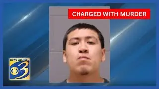 Illegal immigrant charged with murder in woman's death on US-131