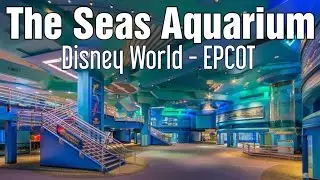 The Seas Aquarium - Disney World EPCOT