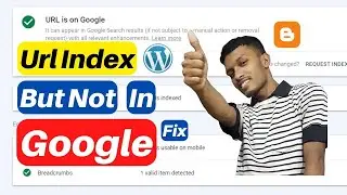 How to Fix URL Not showing in Google | URL Index But Not showing in Google 
