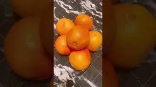 Grapefruit SUHA  orange color #fruit #fruits #shortsvideo #shortsviral