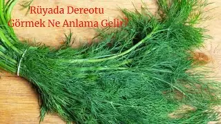 Rüyada Dereotu Görmek Ne Anlamadır