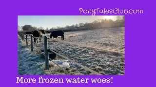 Getting water to horses when it's freezing