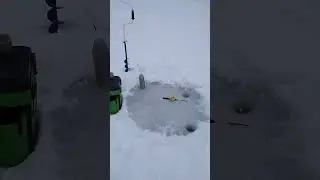 Второй выход на лёд🎣
