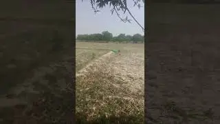 jedh ki