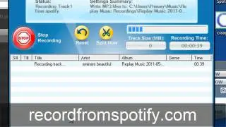 Saving Tracks from Spotify - How-to Get Any Song for Free From Spotify