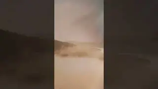 15 августа 2024 г.